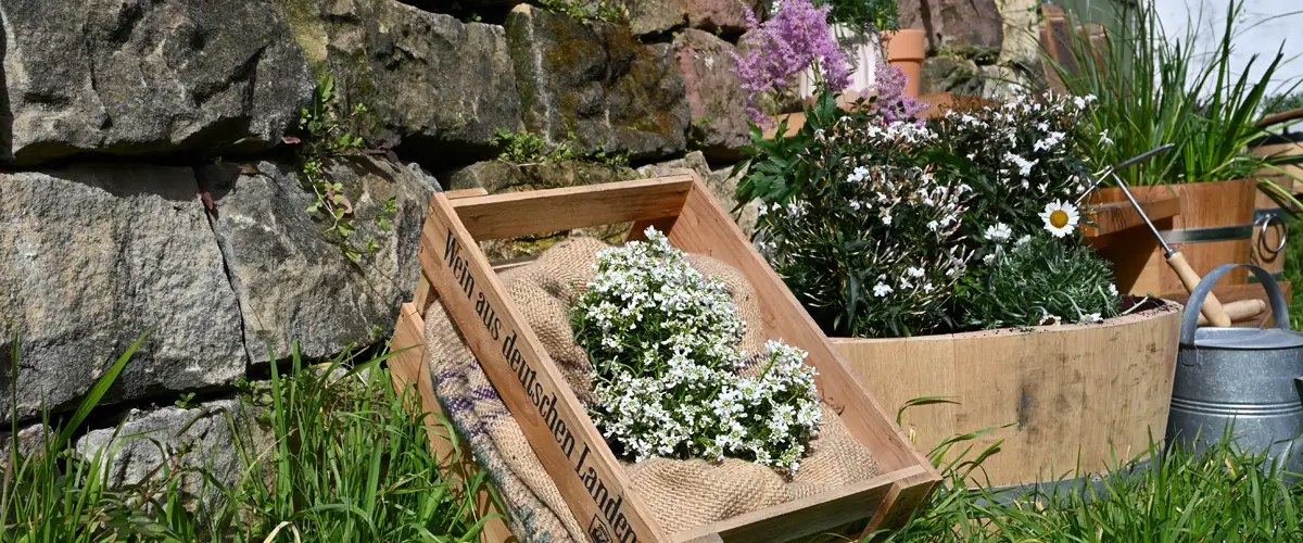 Dekorationen Stimmungsbild von Dekoartikeln im Garten. Mit Holzkiste und Blumenkübeln.