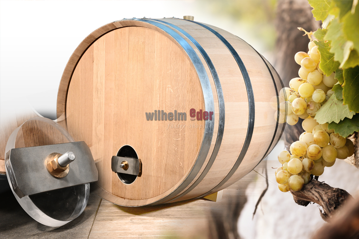 Fermentation of white wine in wooden barrels